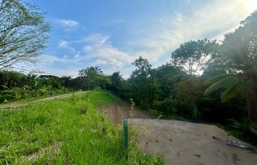LUXURIOUS PRE-CONSTRUCTION 3-BEDROOM HOME IN DESIRED PLAYA HERMOSA – 0.57 ACRES
